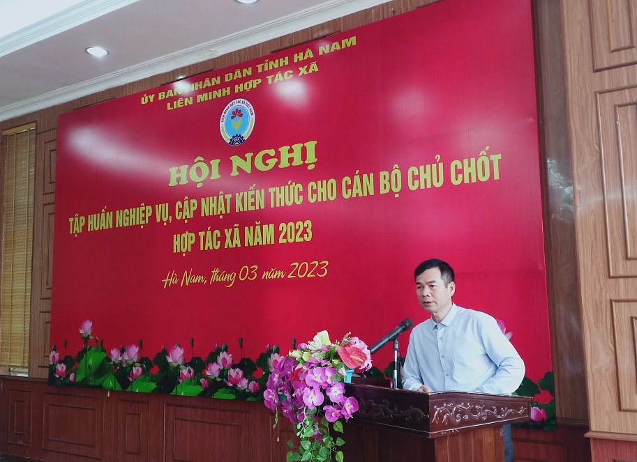 xếp 2023